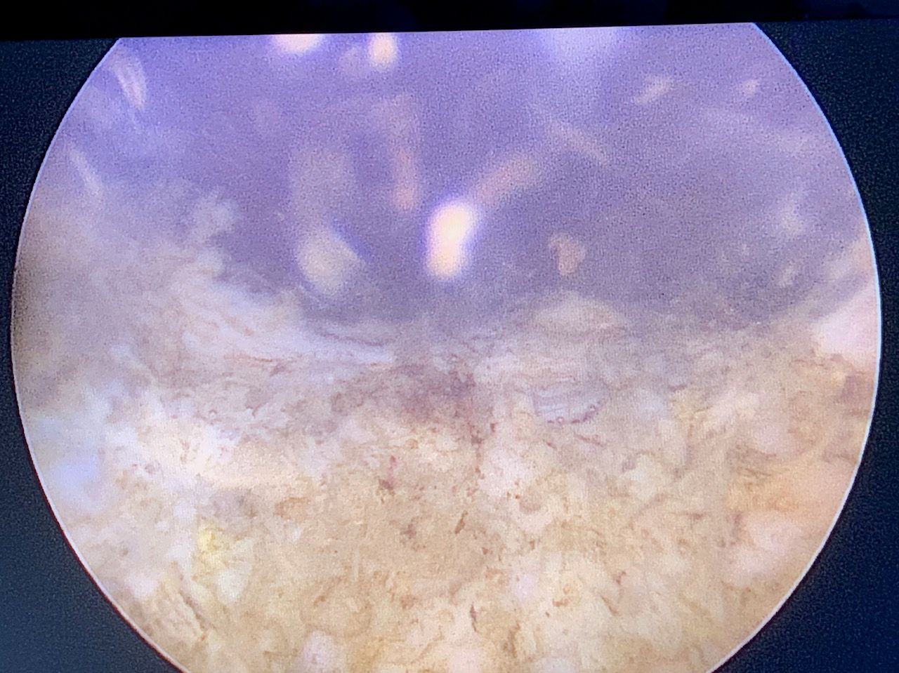 Juan Guillermo Velásquez López-19