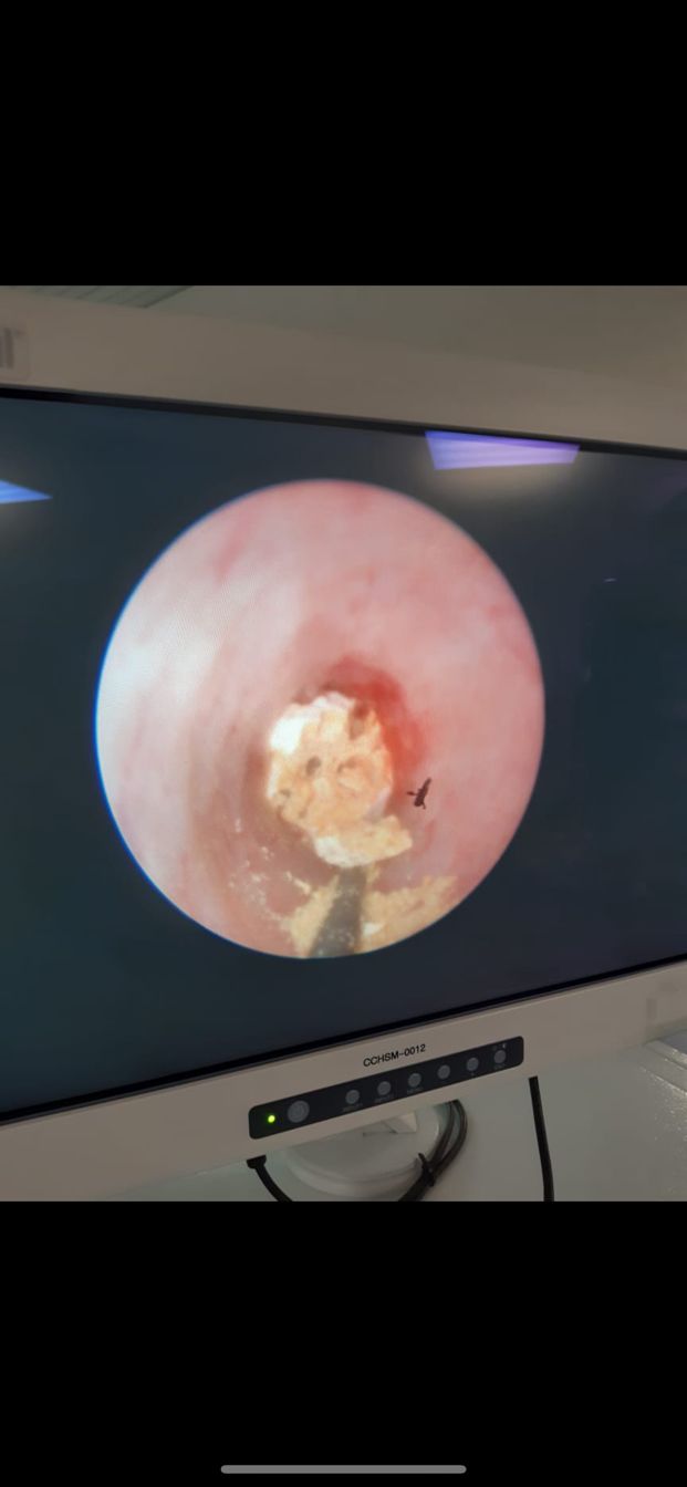 João Cunha Thomaz-13