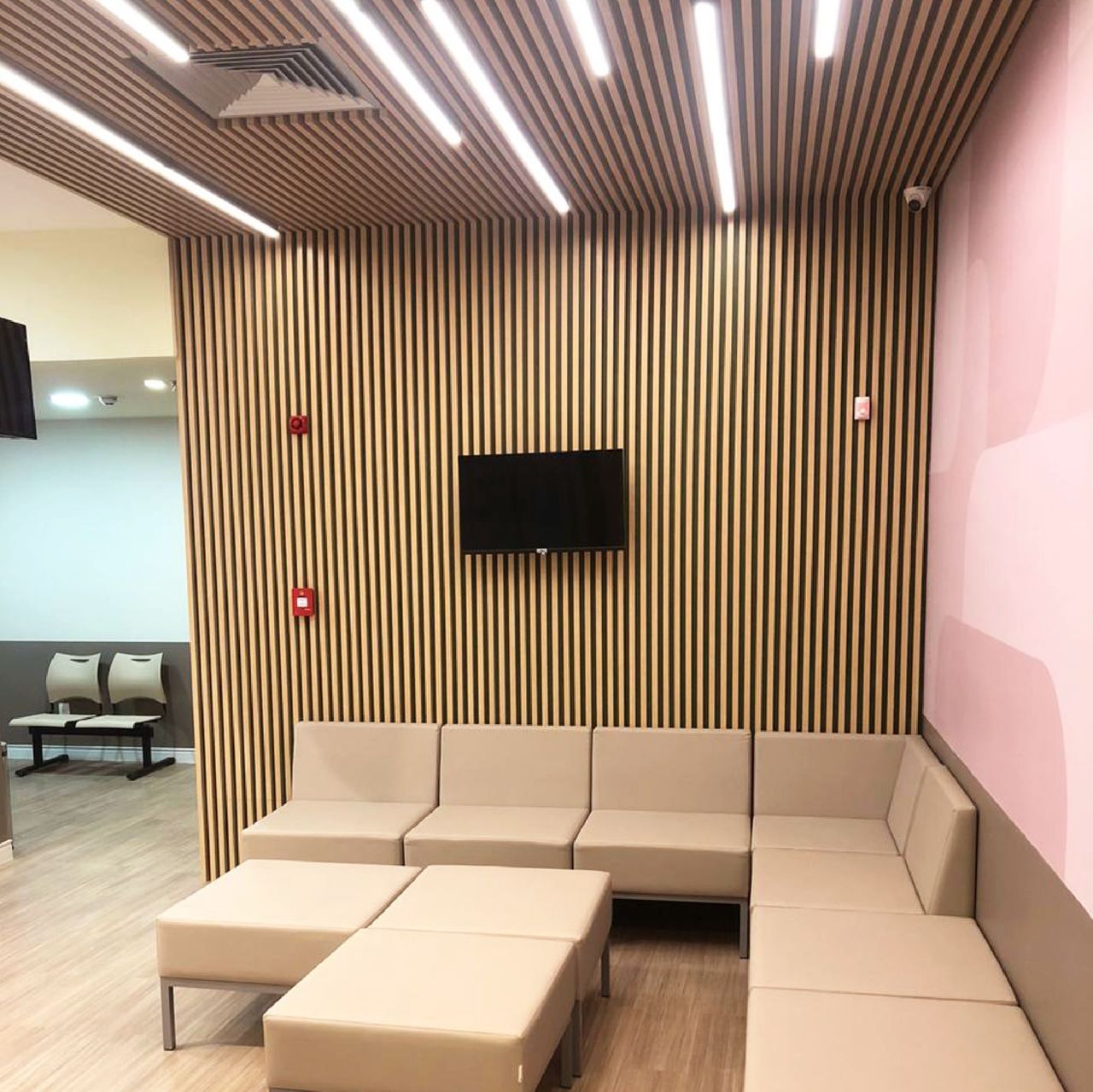 Aline Quental Callou-8