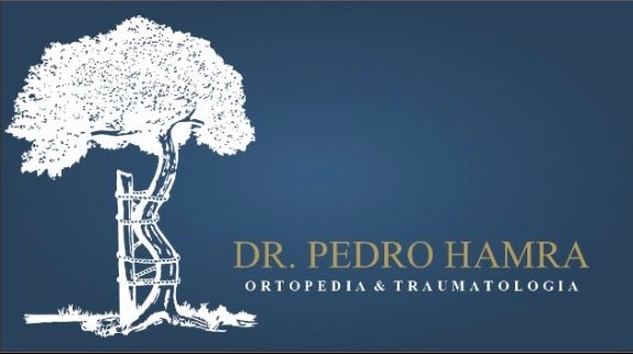 Pedro Hamra-4