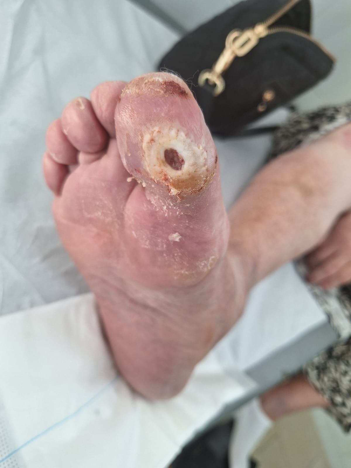 Farmen Elena  Silva Campos-4