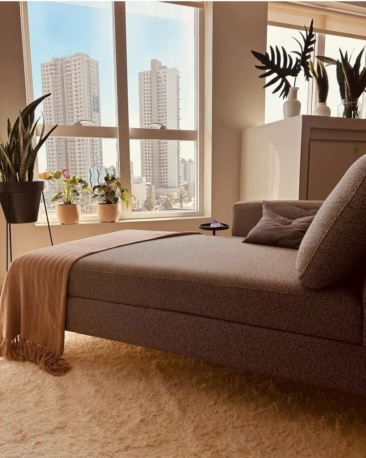 Cejana De Siqueira-0