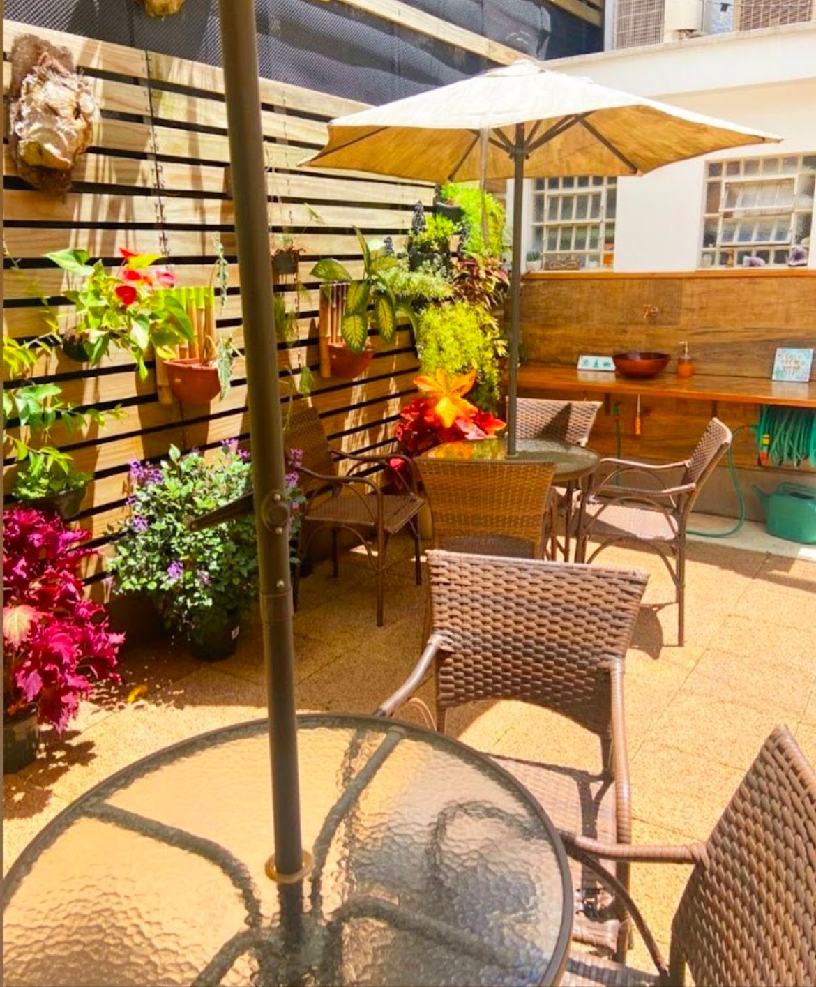 Carla Braga Avelar-4