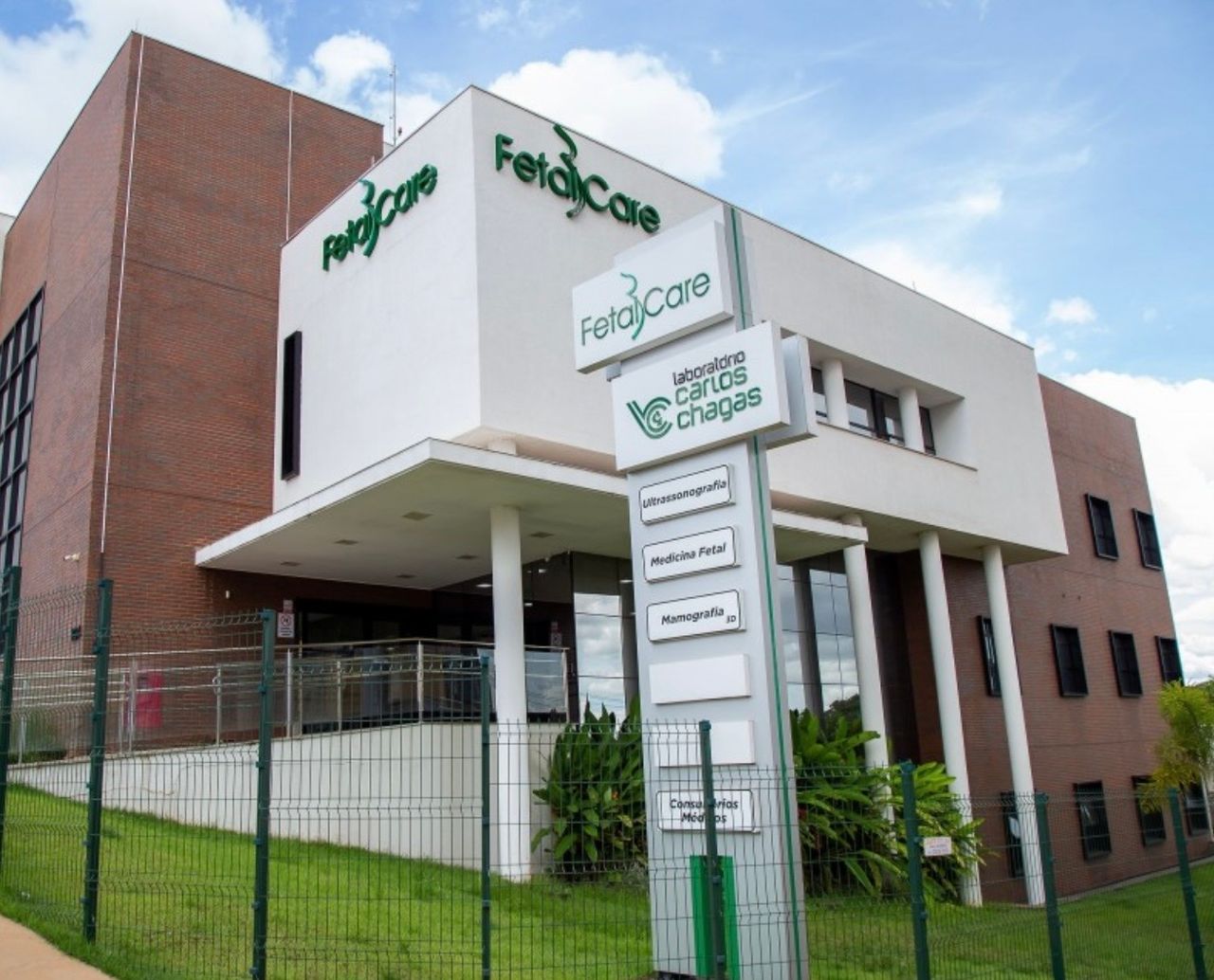 Caroline  Warpechowski Lazaroto-1