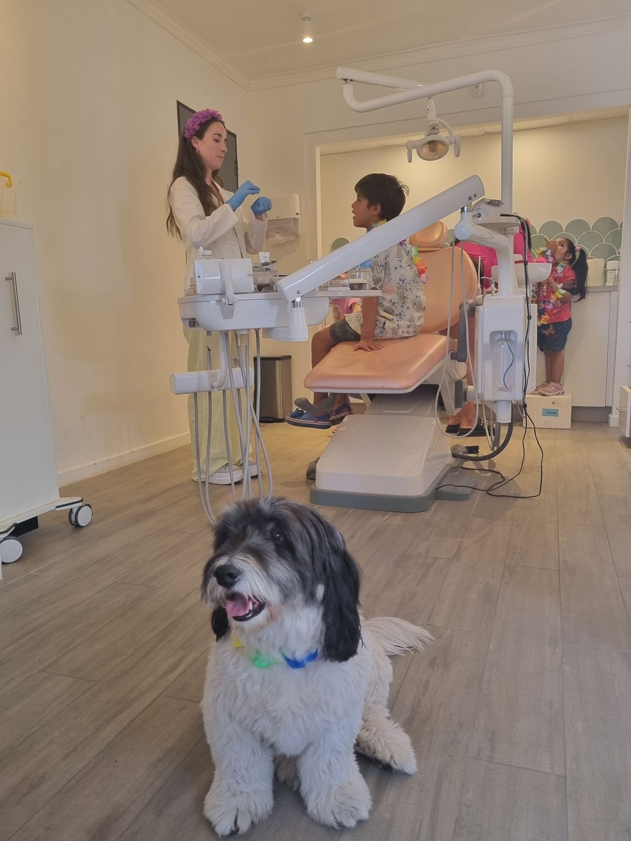 Barbara Norambuena Villegas-7