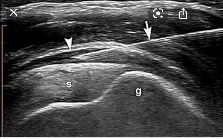 Dimitri Lovisaro Rumiantzeff-11