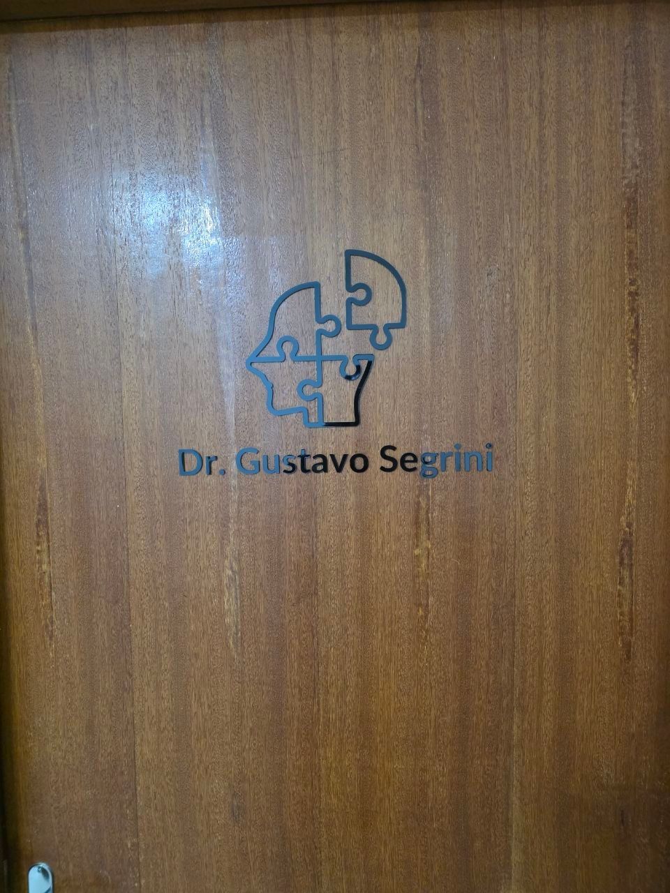 Gustavo Rigil Segrini Gomes-12