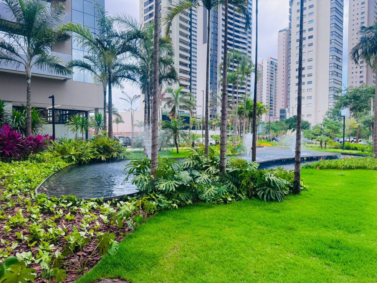 Carolina Lima De Melo-4