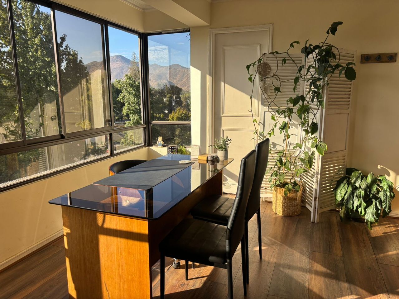 Eva Maria Pavez Bravo-0