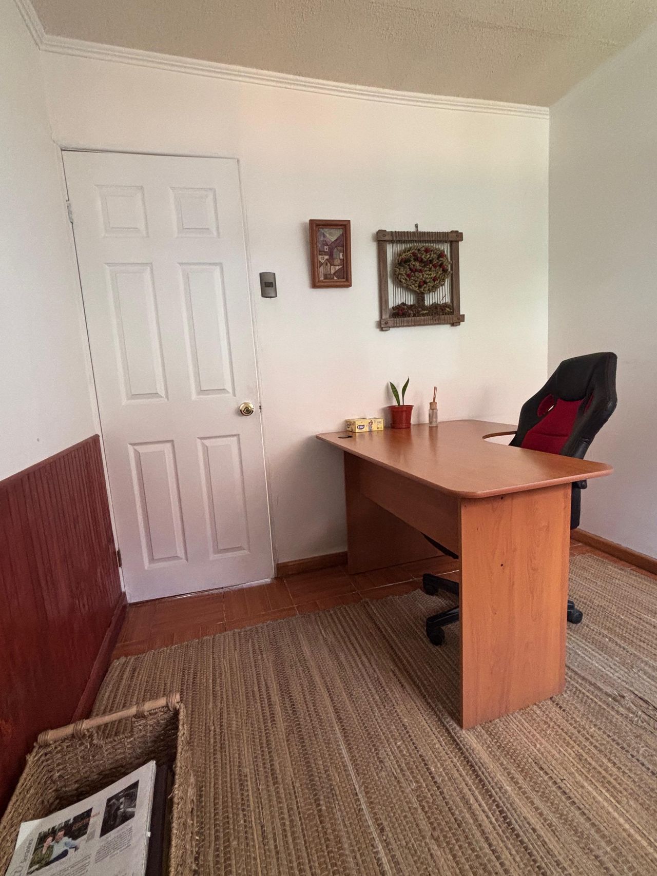 Sebastian Andres Sanchez Peralta-7