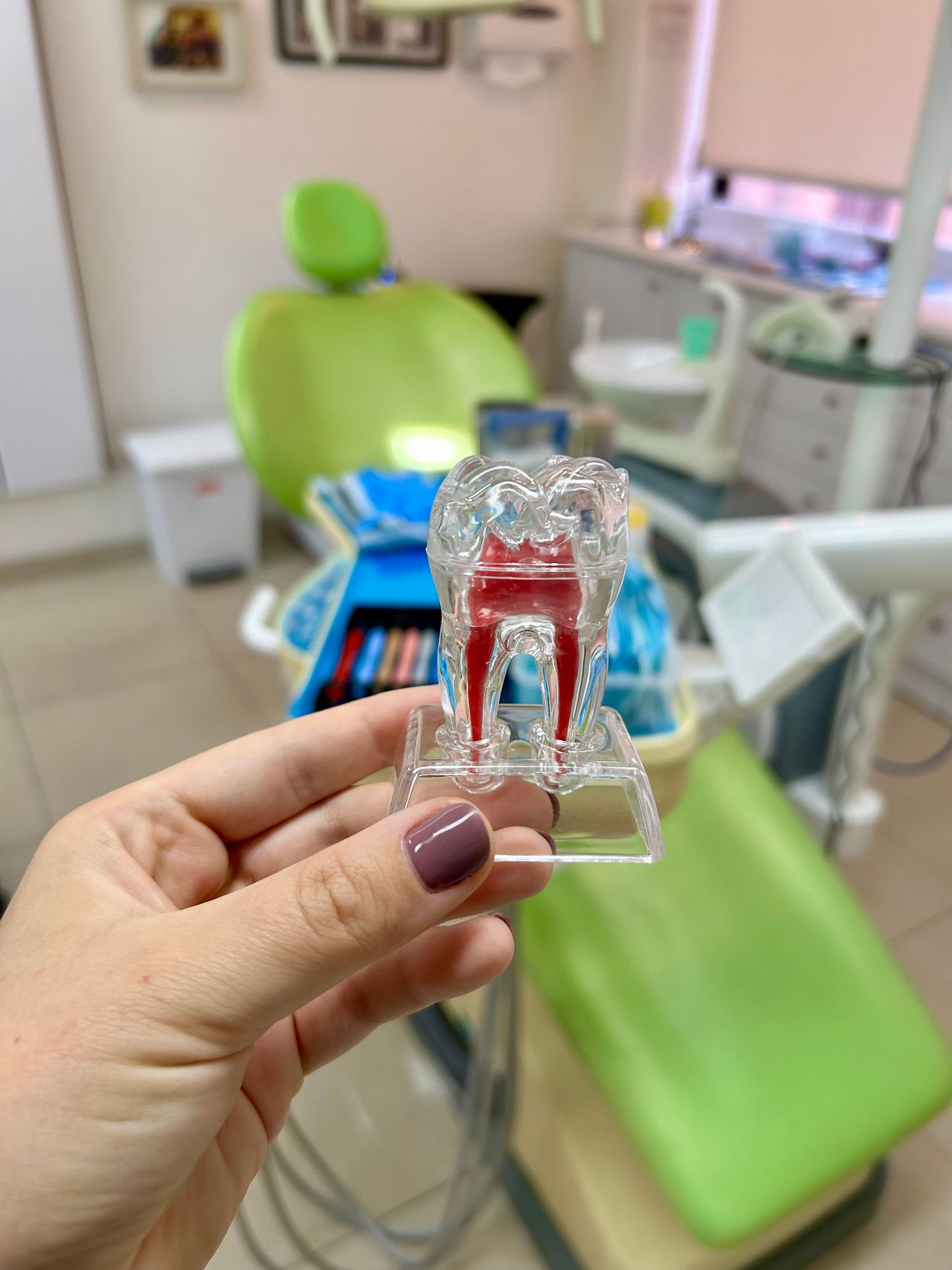 Montserrat Carbonell Palacios-5