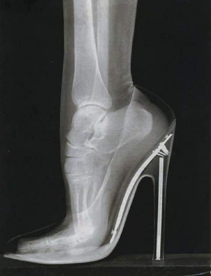 Camila Dias Monteiro Da Silva-3