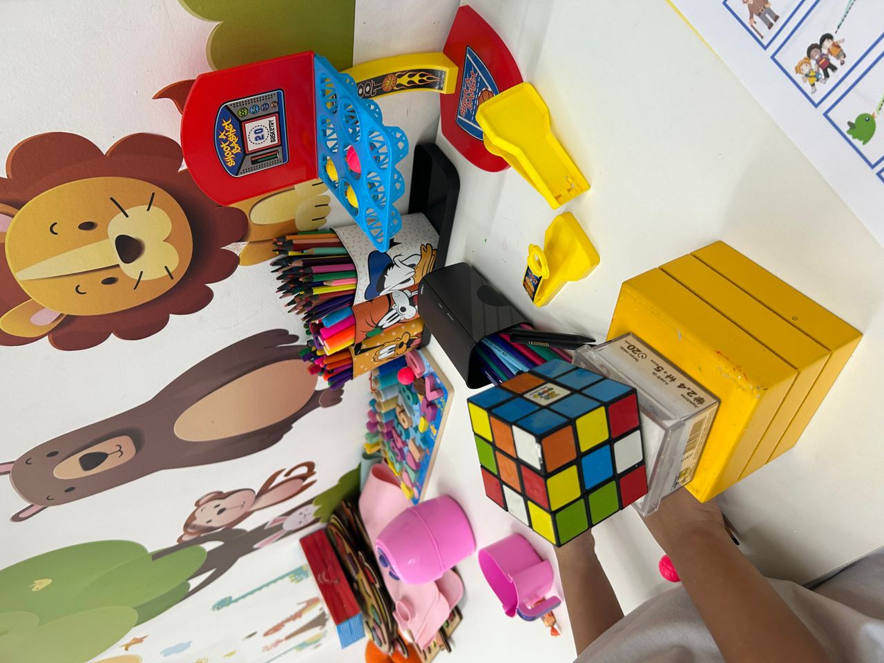 Gecineide Oliveira Jovanovicth-5