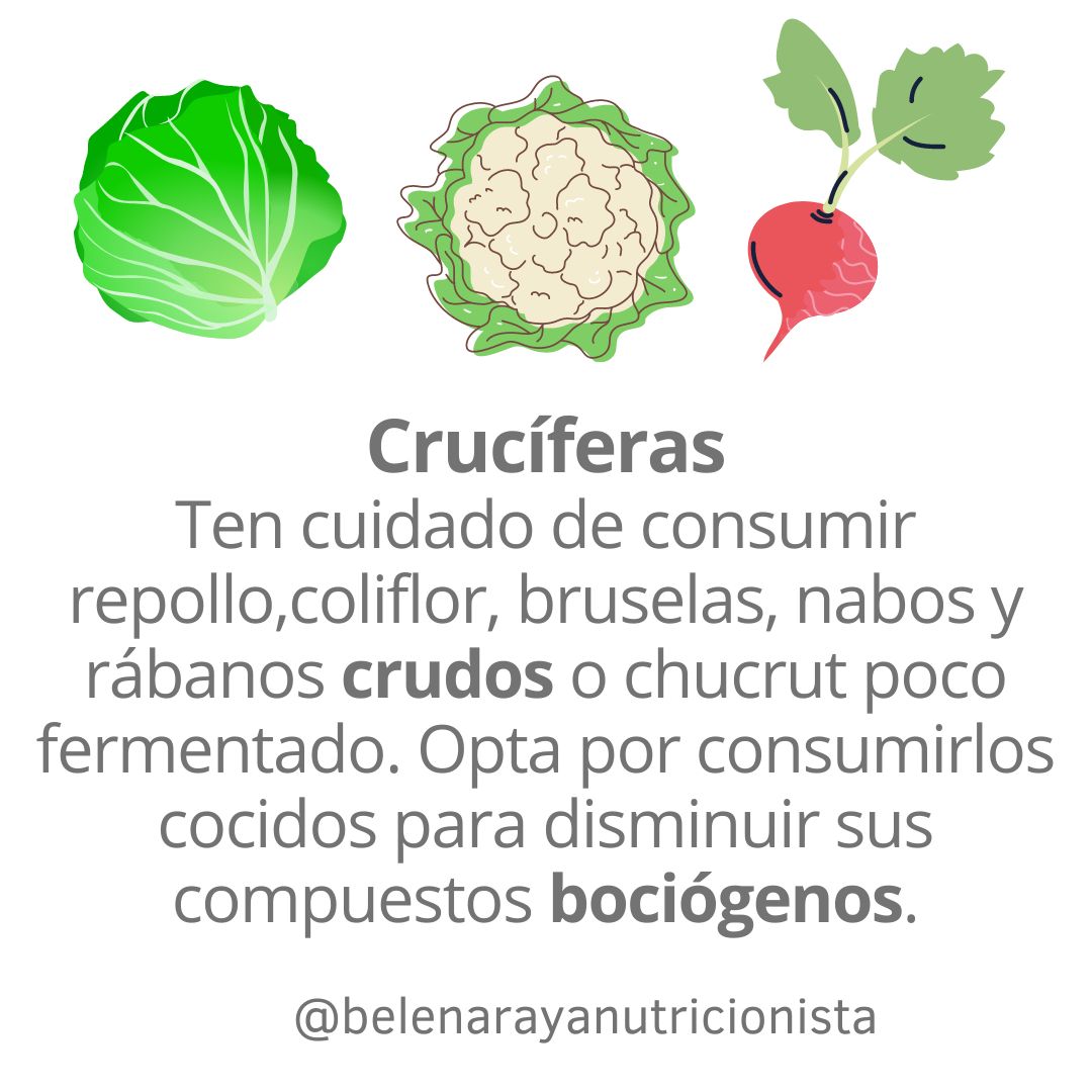 Belén Araya Inostroza-24