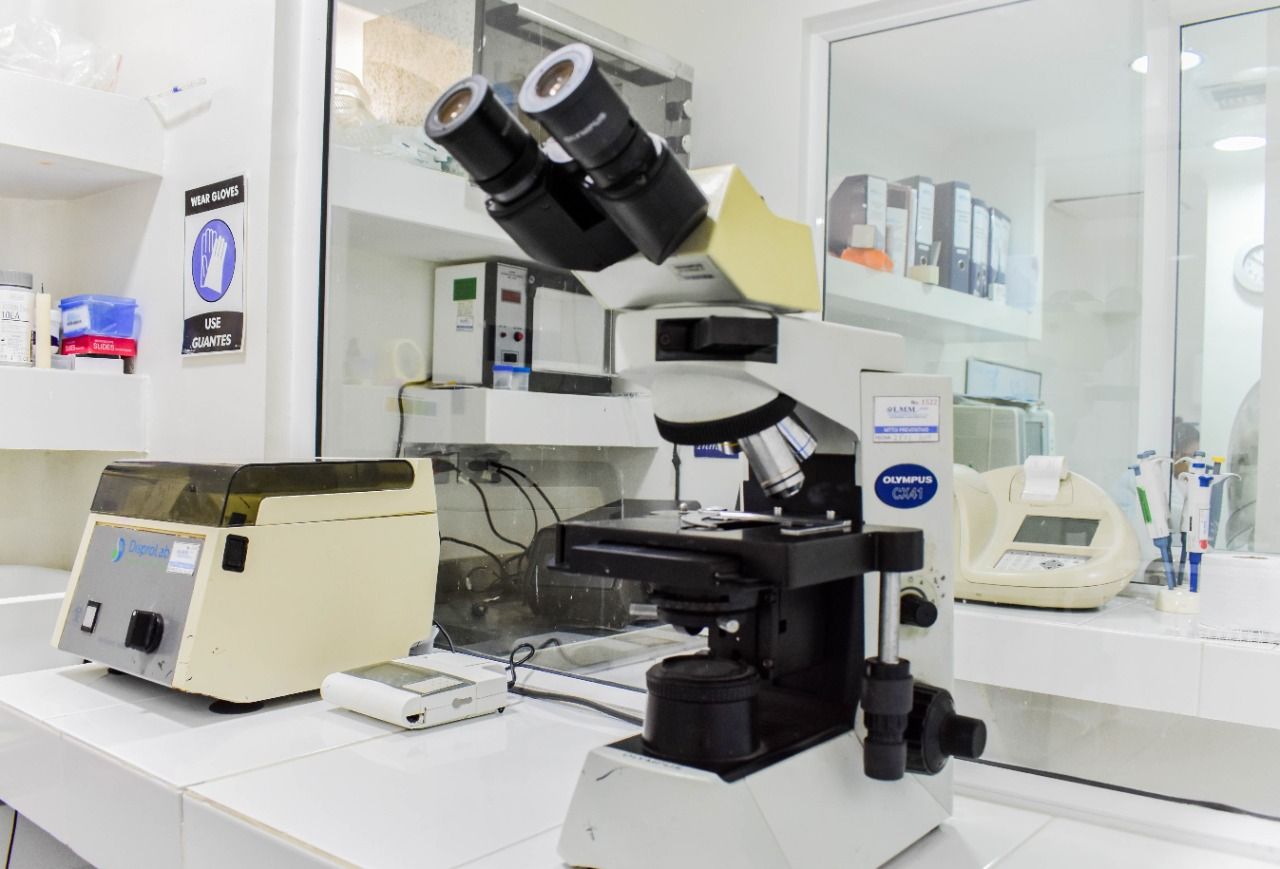 Rosario Arnedo Pombo-9