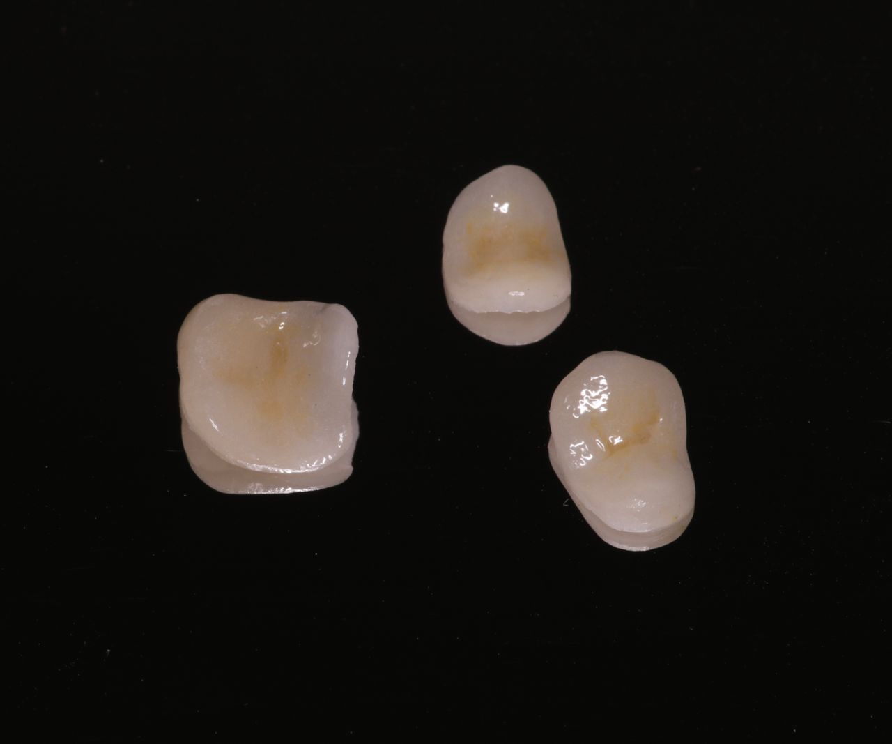 Luis Muñoz Tolhuysen-11