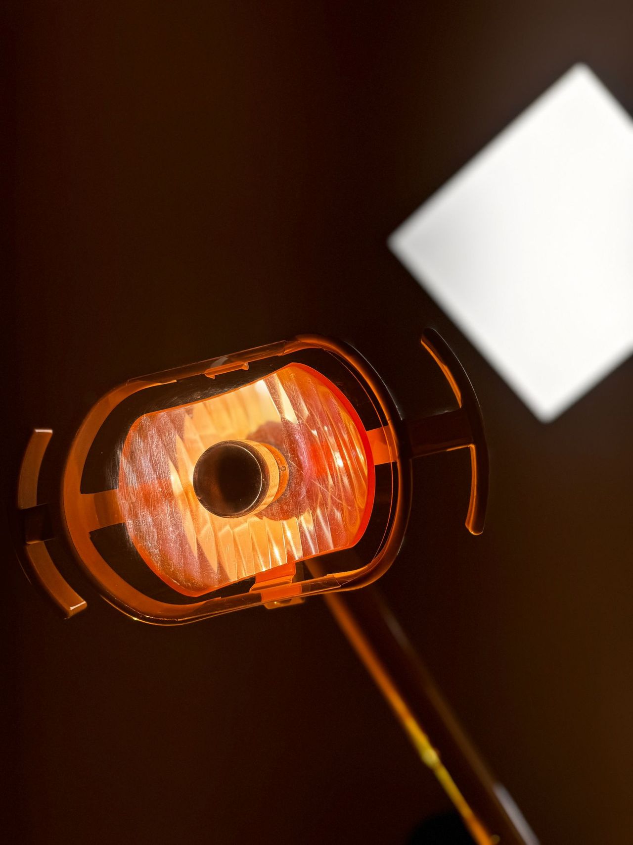 Luísa Cristina De Sousa-12