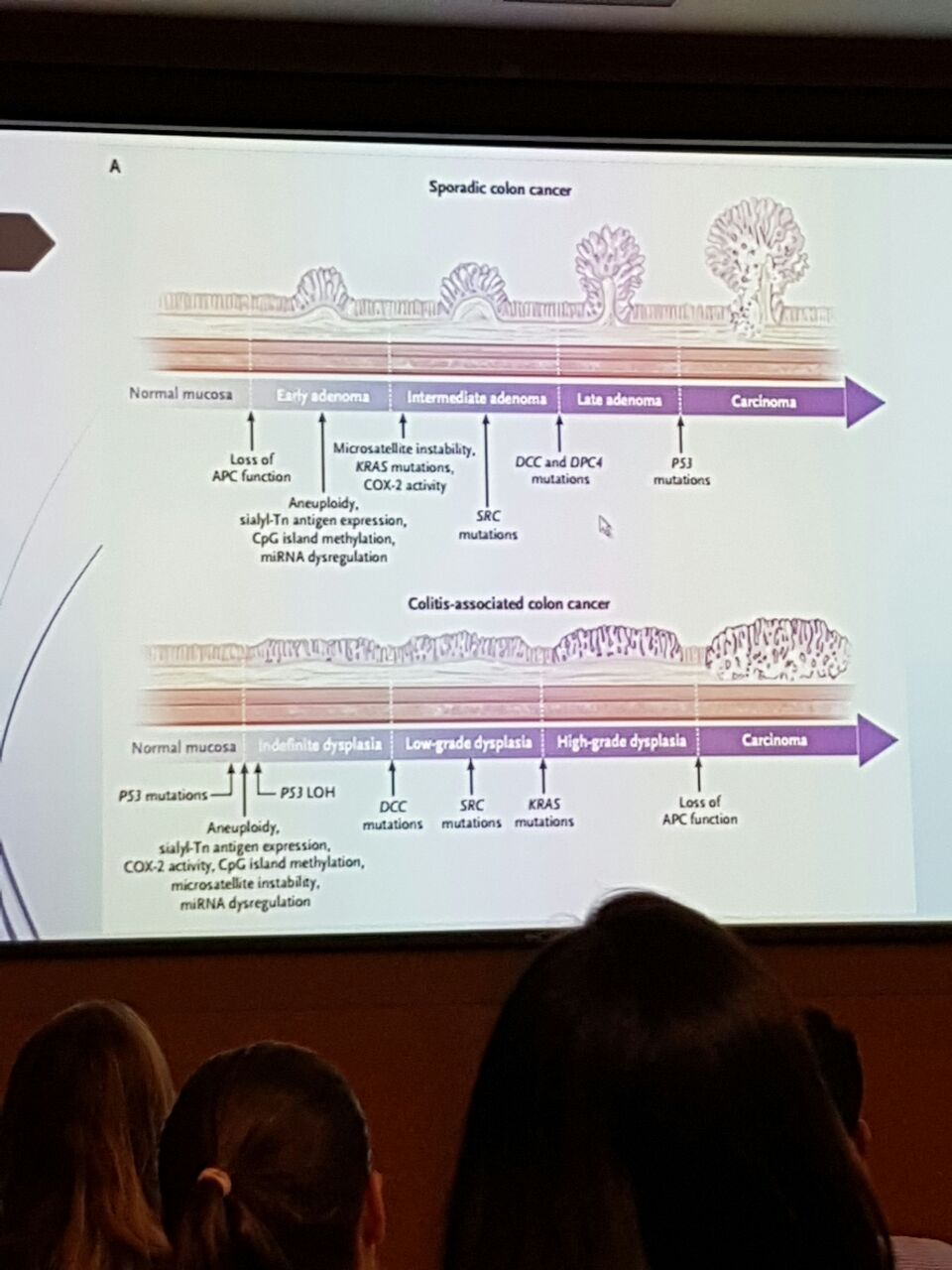 Eduardo Isaac Nishimoto-19