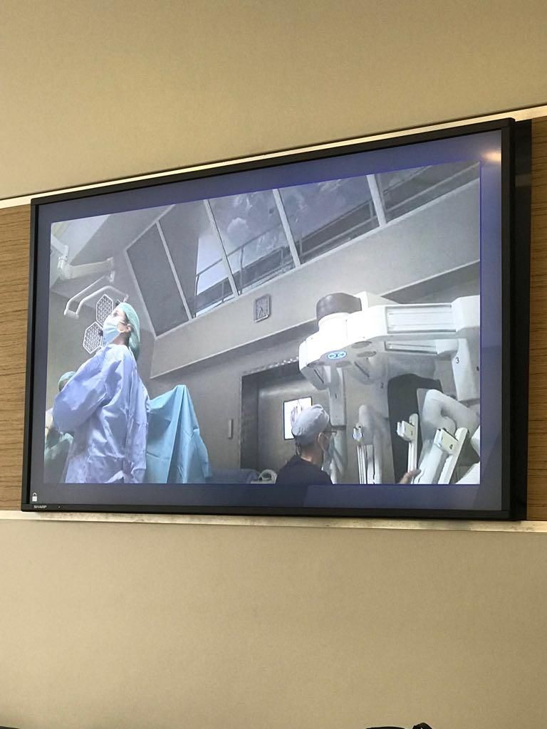 Liane Silva Rafael Rogério-46