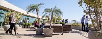 Marcela Mascarenhas De Paula-5