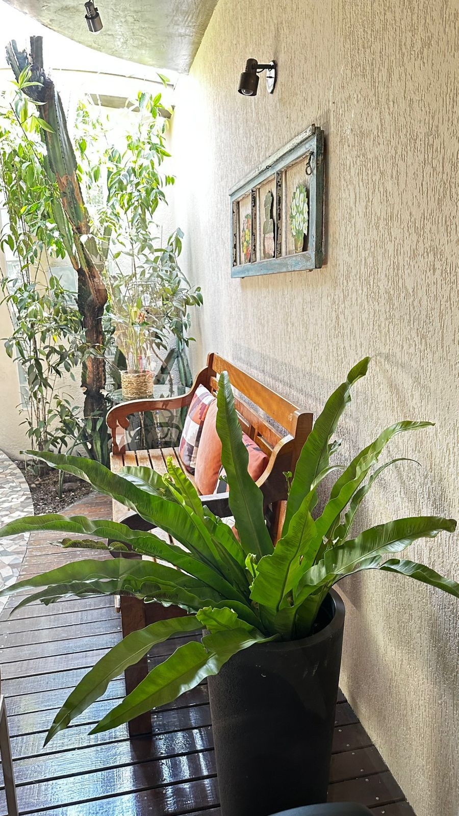 Maria Do Sacramento Tanganelli-1