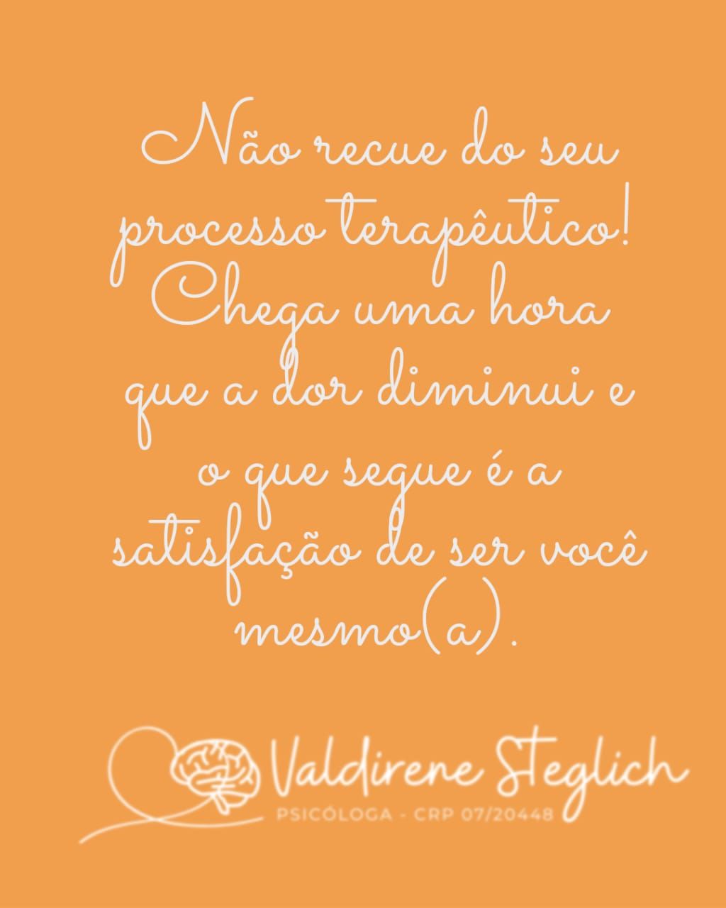 Valdirene Terezinha Steglich-1