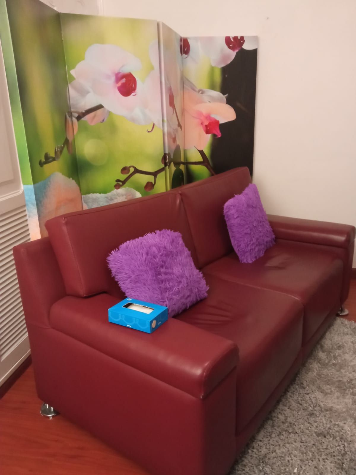 Elsy Vargas Vergara-5