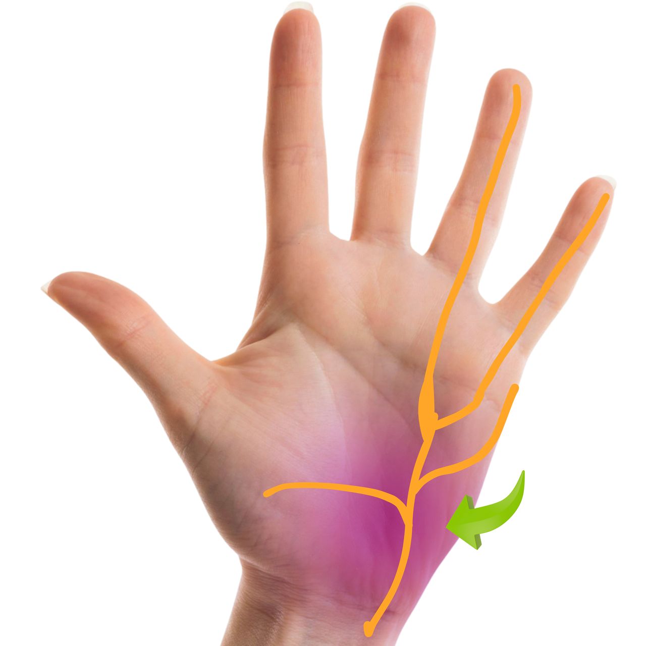 David Tafur Muñoz-1436