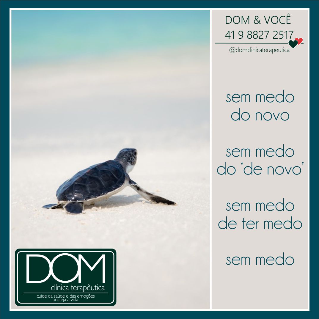 Ana Carolina Cunha Da Câmara Ramos Bacila-5