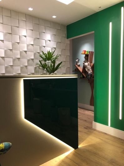 Laudicea Furtado Fiorito-8