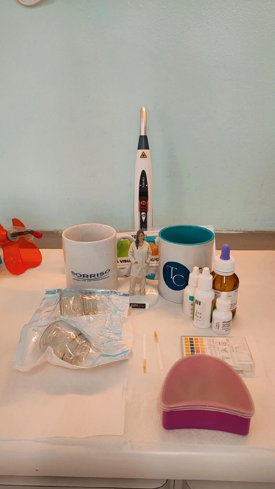 Teresa Cristina Ferreira Martins Galdino-10