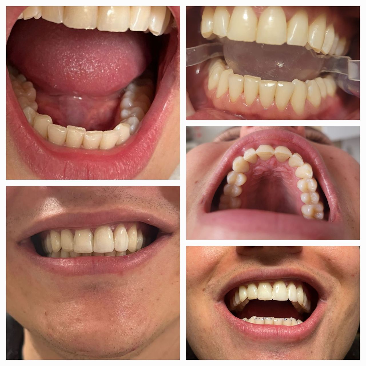 Lucía Inés Torrado Cote-32