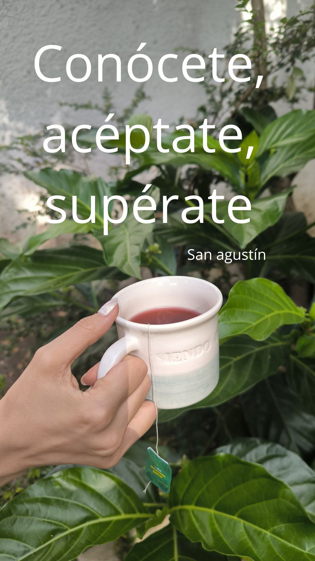 Tatiana Vélez Restrepo-3