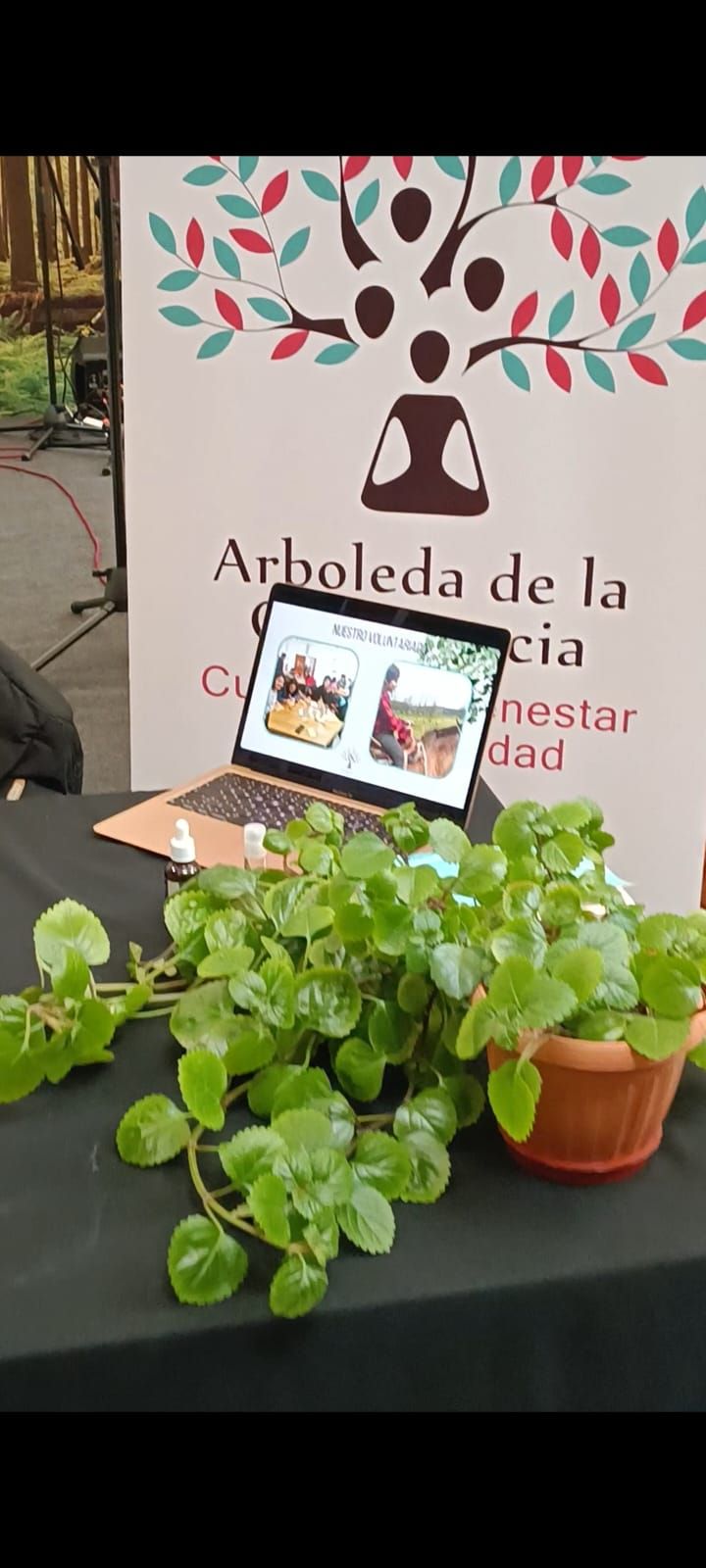 Camila Vásquez Gutiérrez-5