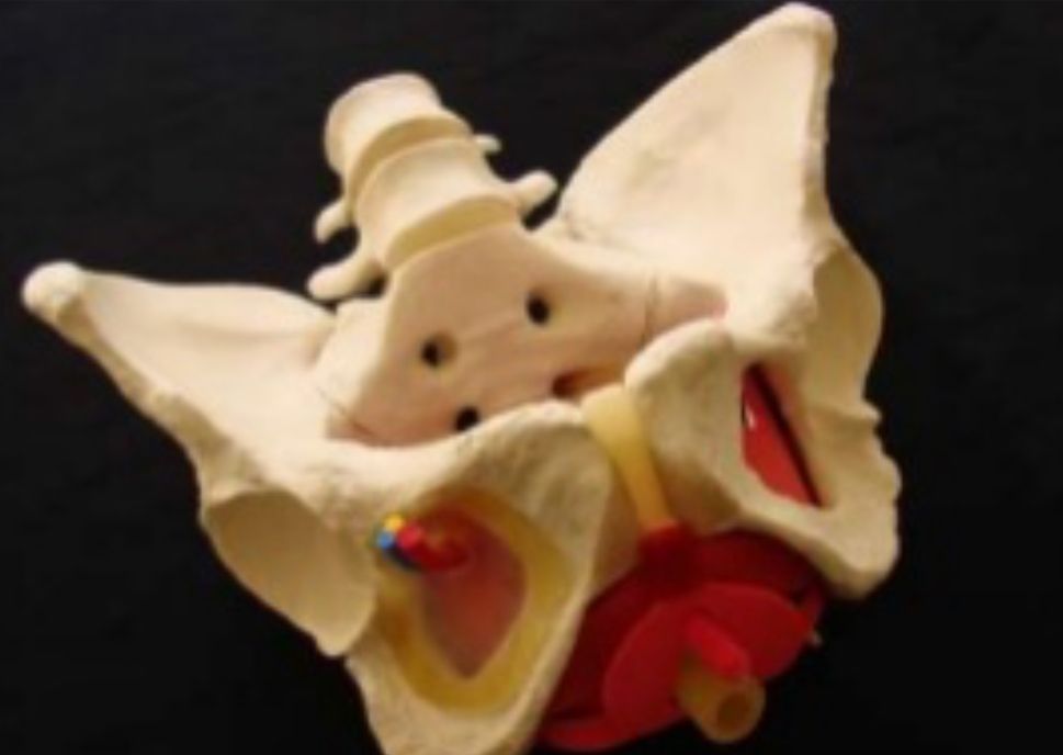 José Bahia Sapucaia Filho-8