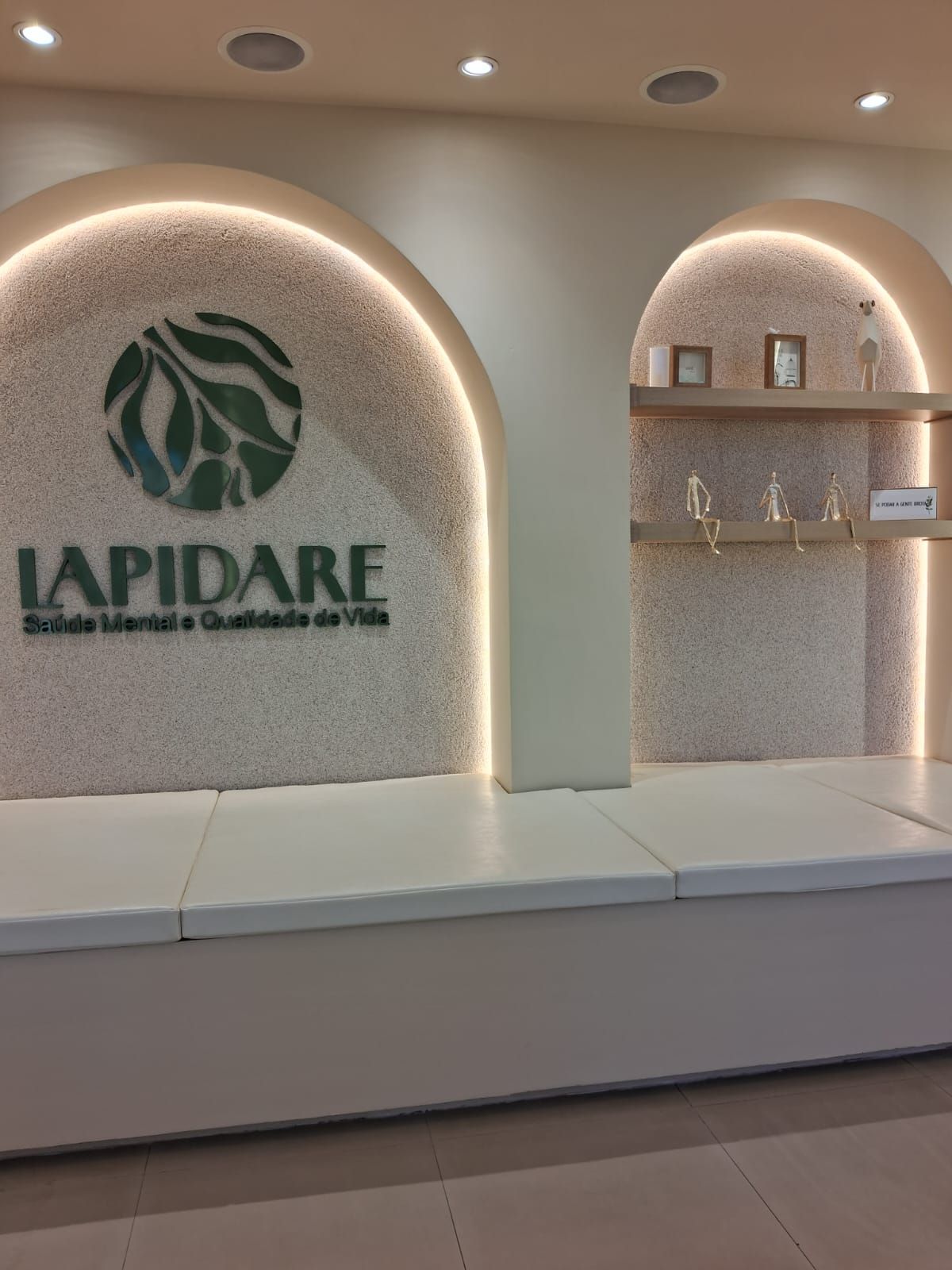 Carolina Lemos Abreu Silveira-9