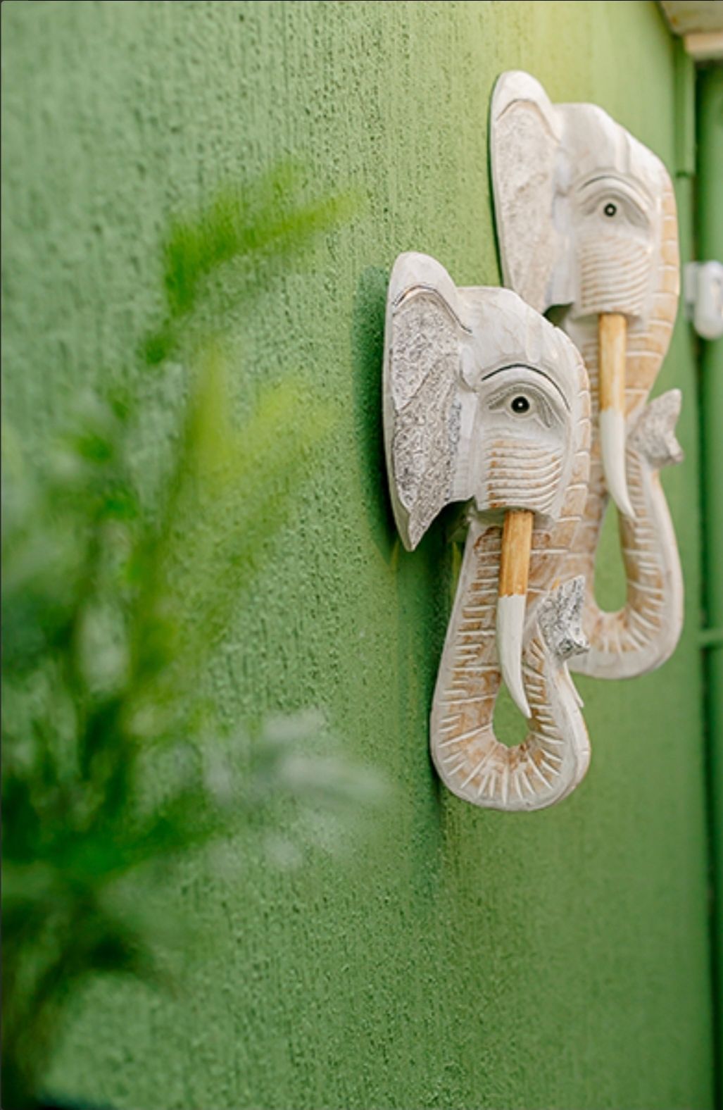 Rosangela  Guidara-4