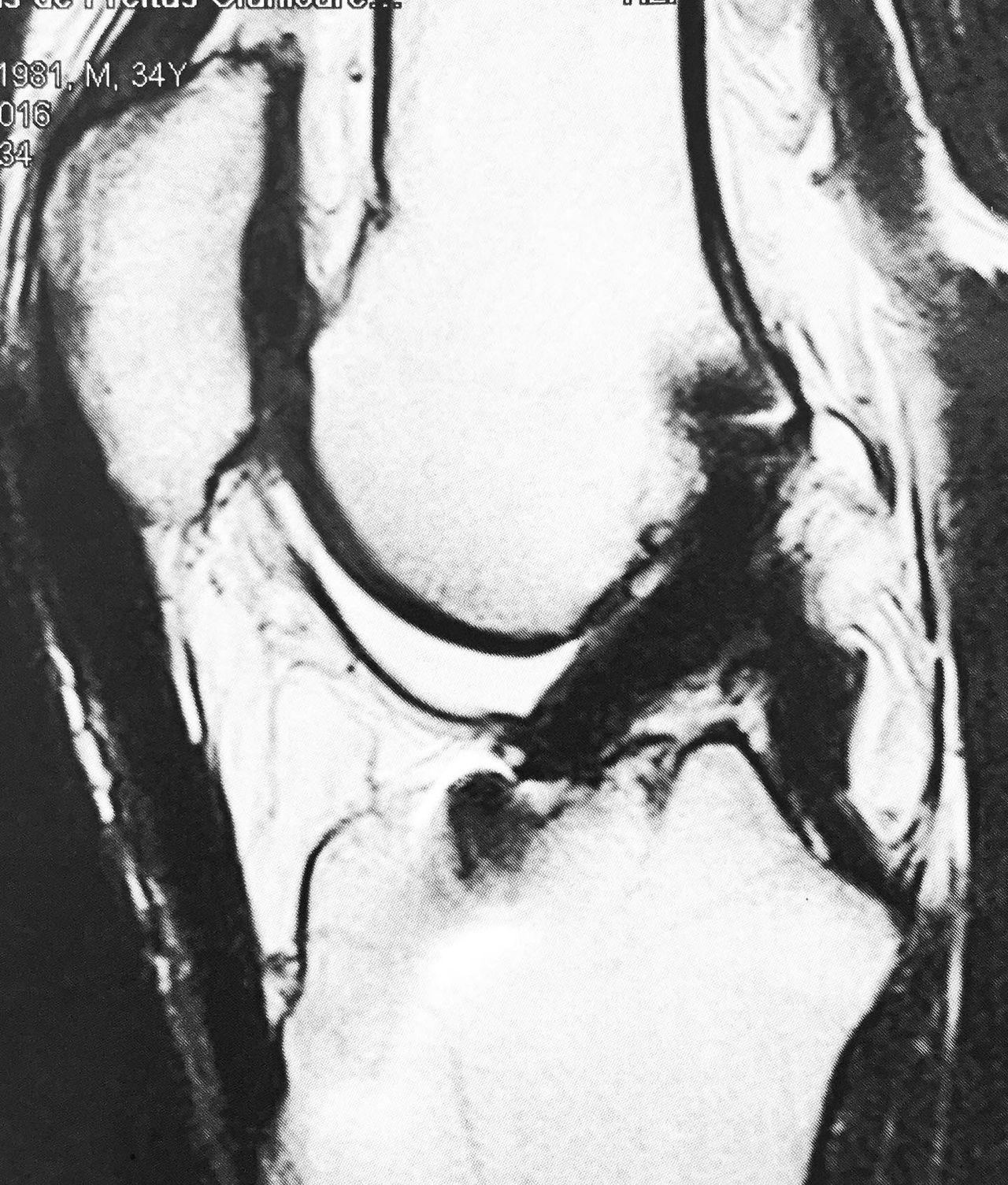 Alexandre Terruggi Jr-1