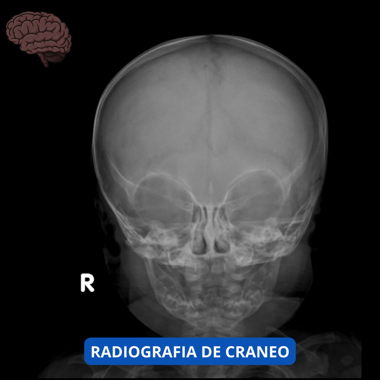 David Tafur Muñoz-1110