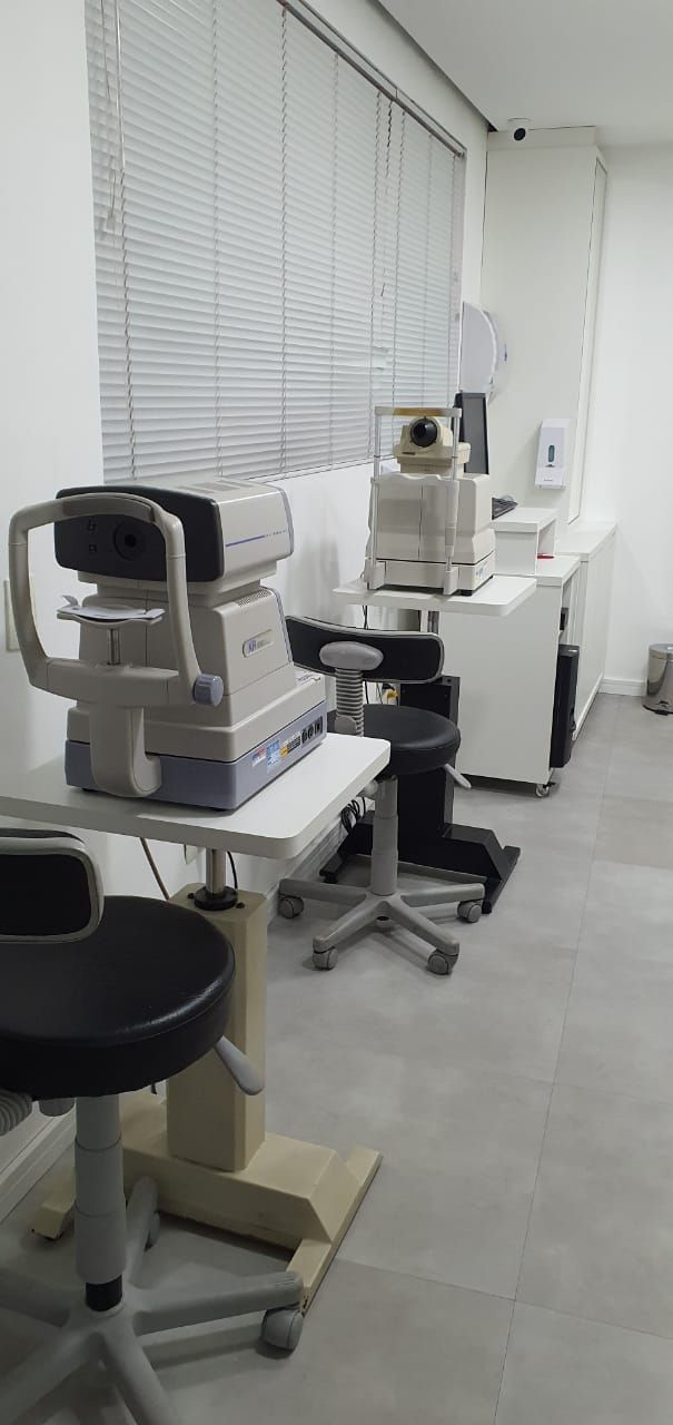 Sandra Cayres Naufal-2