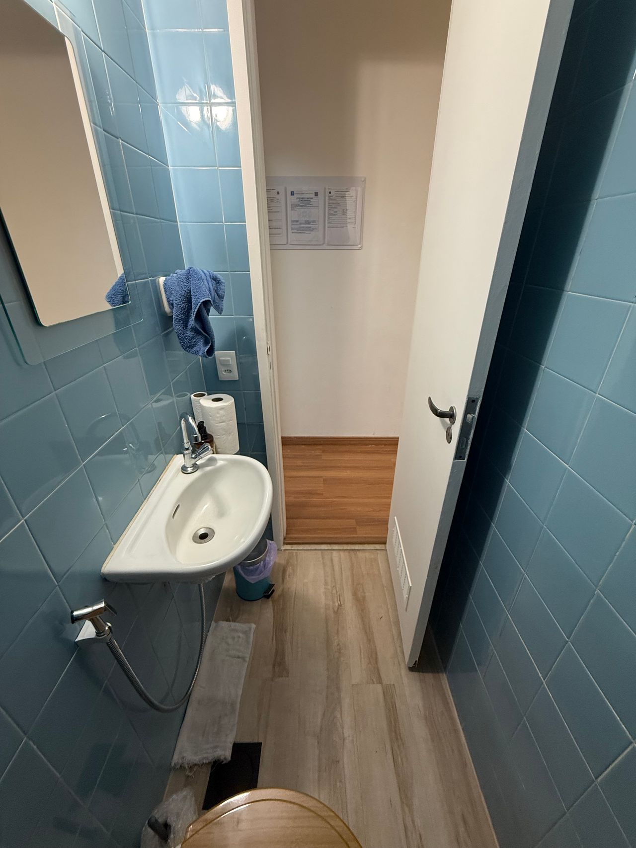 Lara Palacios Alegria-0