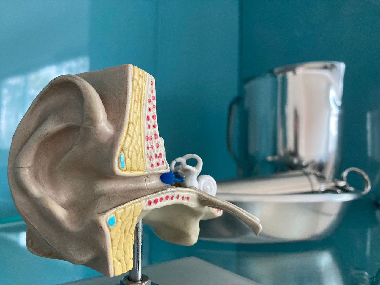 Gilberto Ulson Pizarro-7