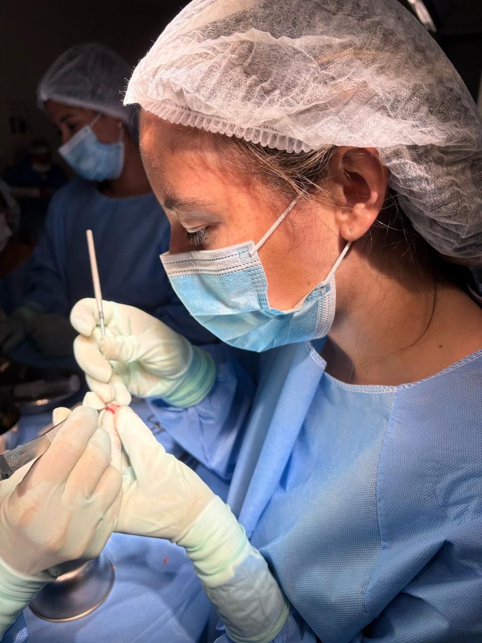 Julia  Oliveira Proviette-2