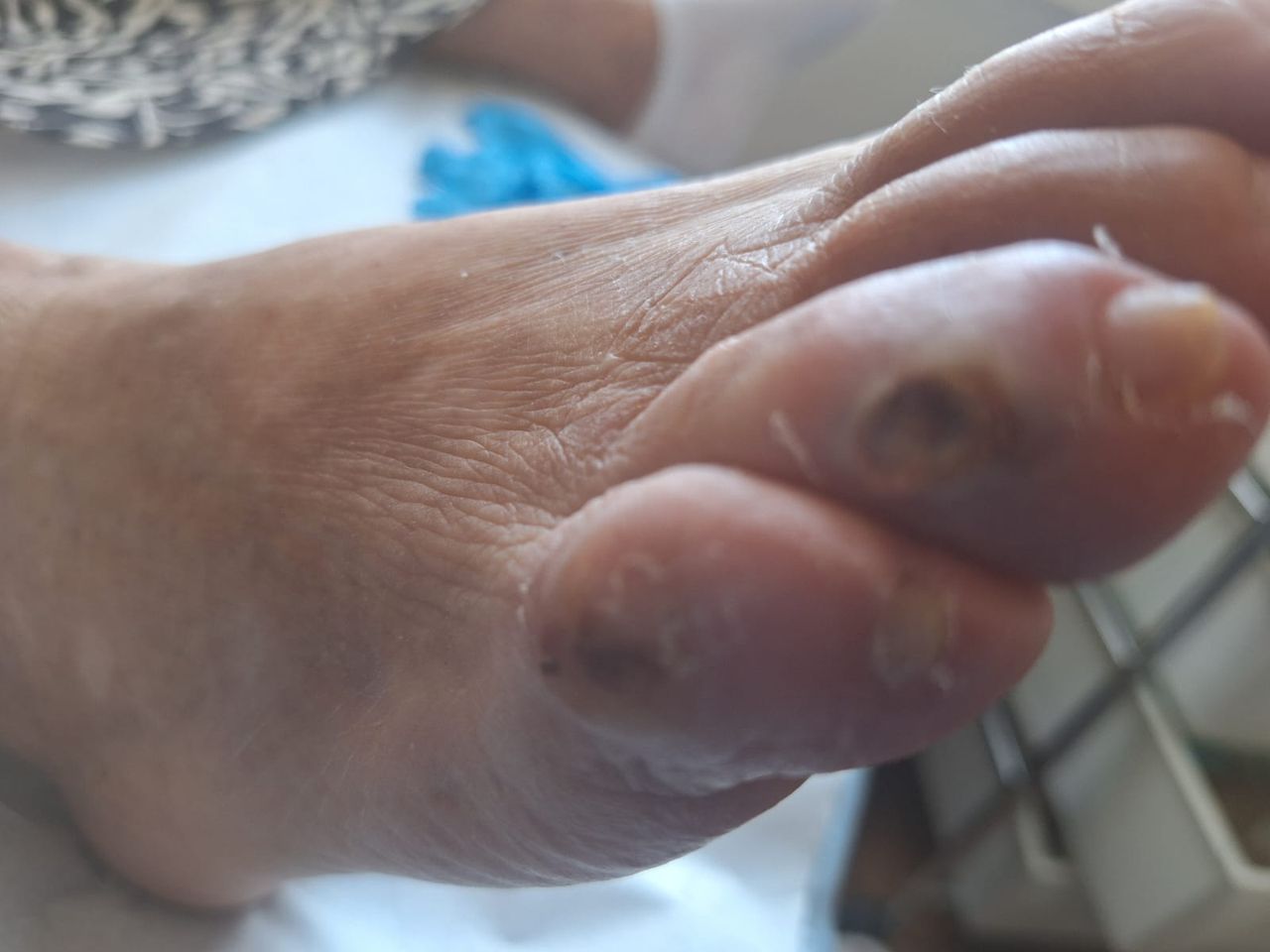 Farmen Elena  Silva Campos-6