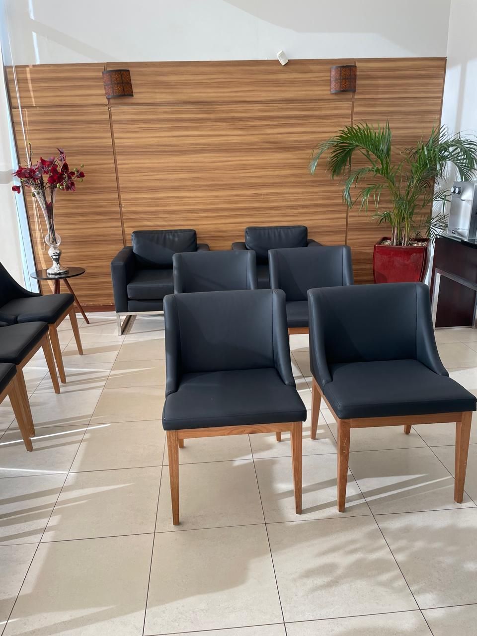 Elias Arcenio Neto-1