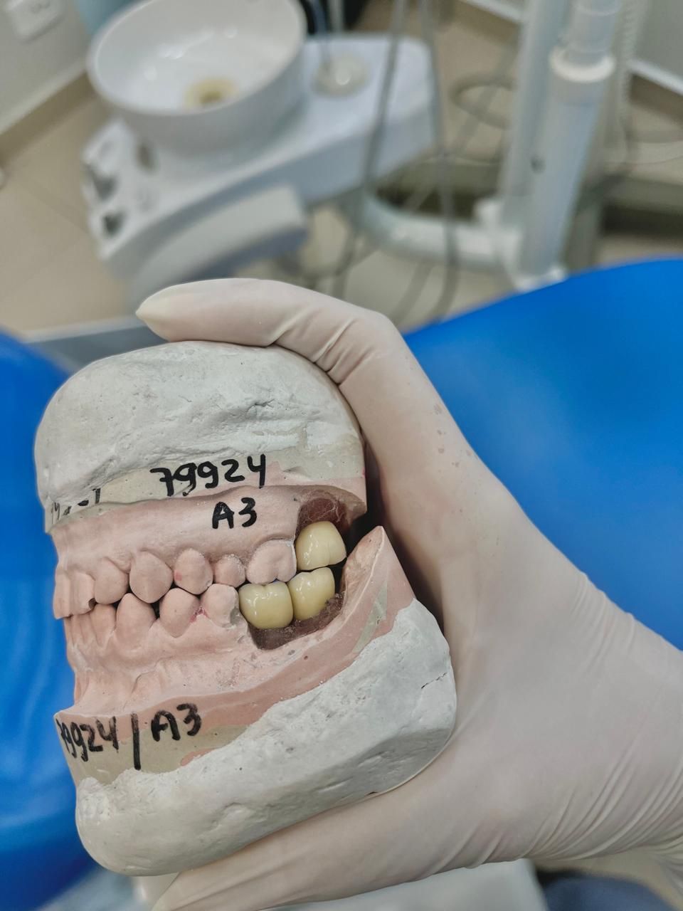 Alice Miguel  Gonçalves-2