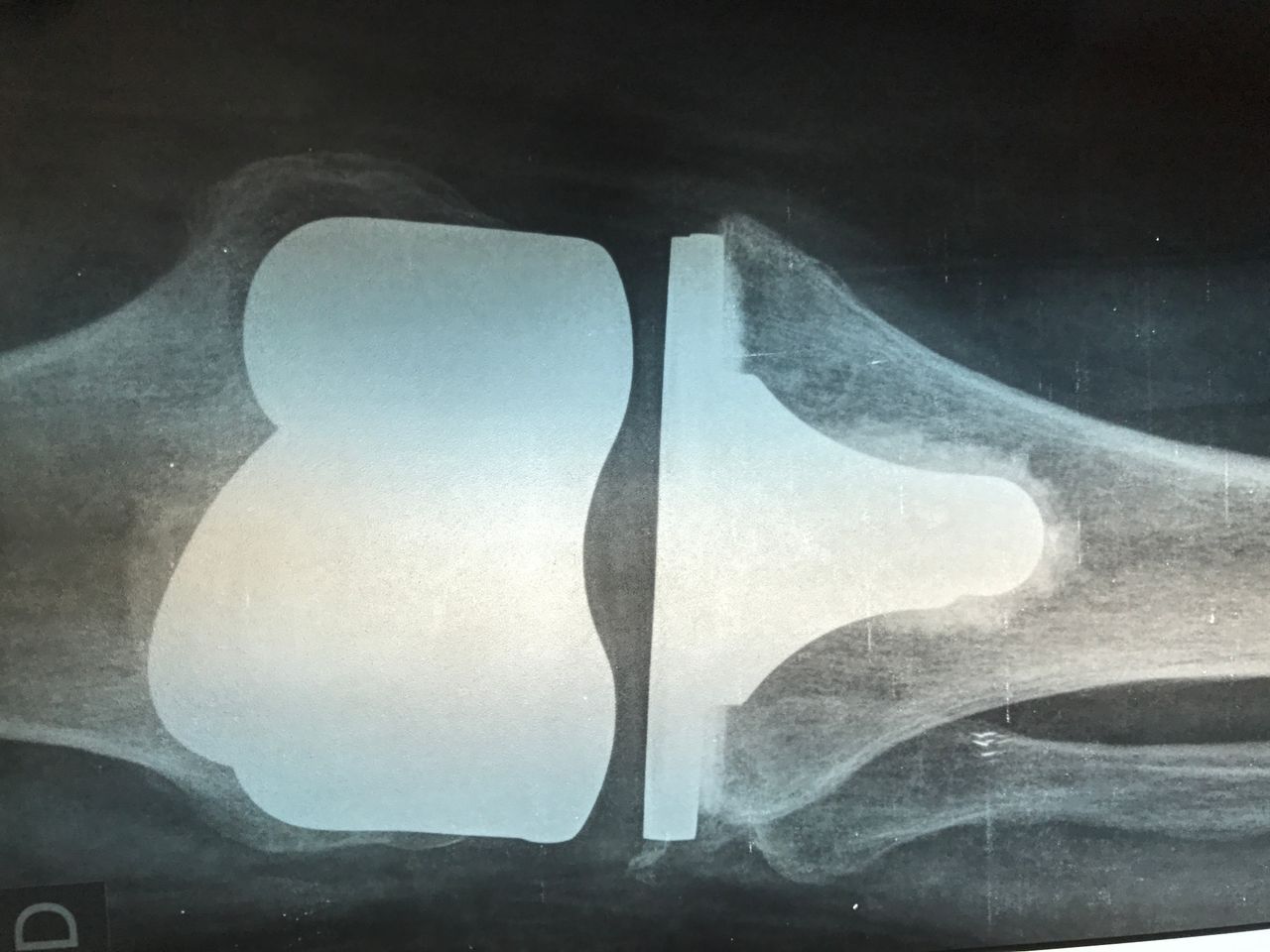 Alexandre Terruggi Jr-11