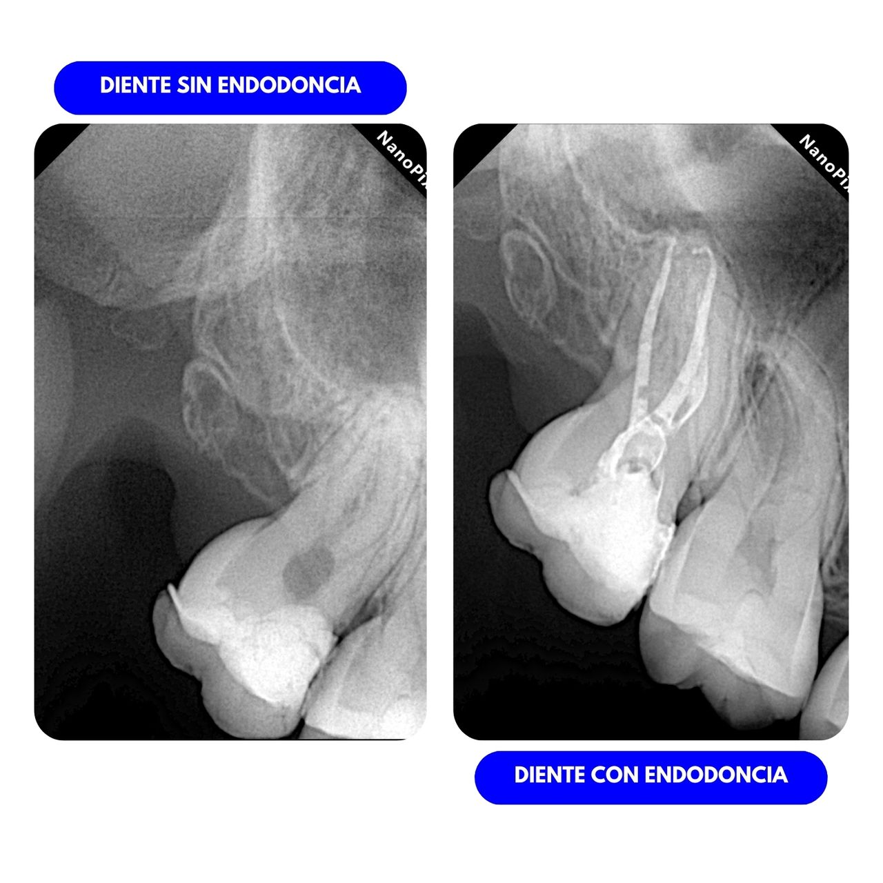 Juliana Vanegas Sánchez-4