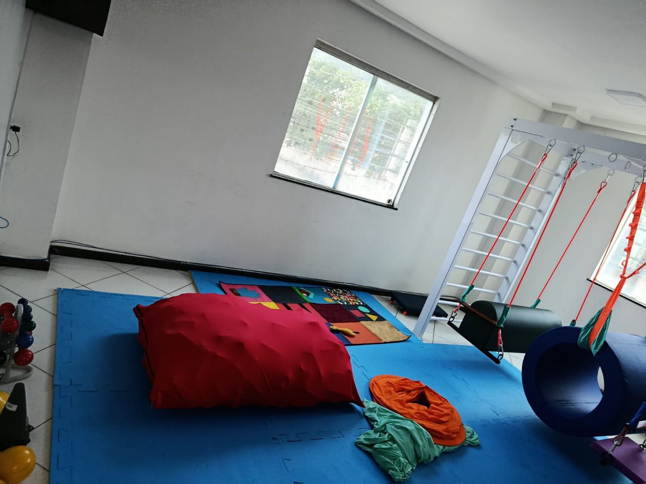 Ana Carolina Zuque De Medeiros-2