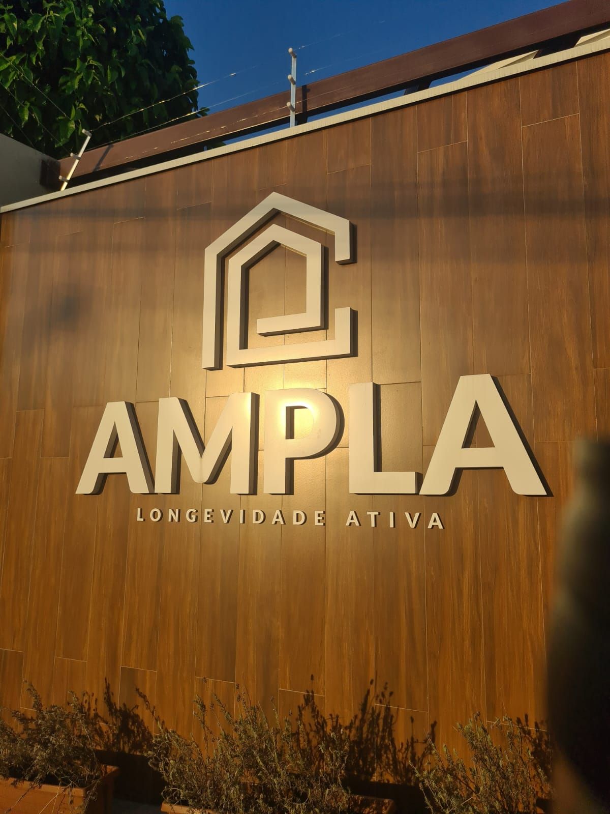 Bruno Deltreggia Benites-1